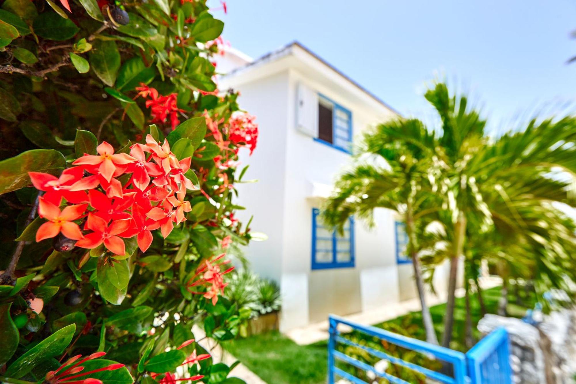La Flor Del Caribe Beach & Spa Punta Cana Rum bild