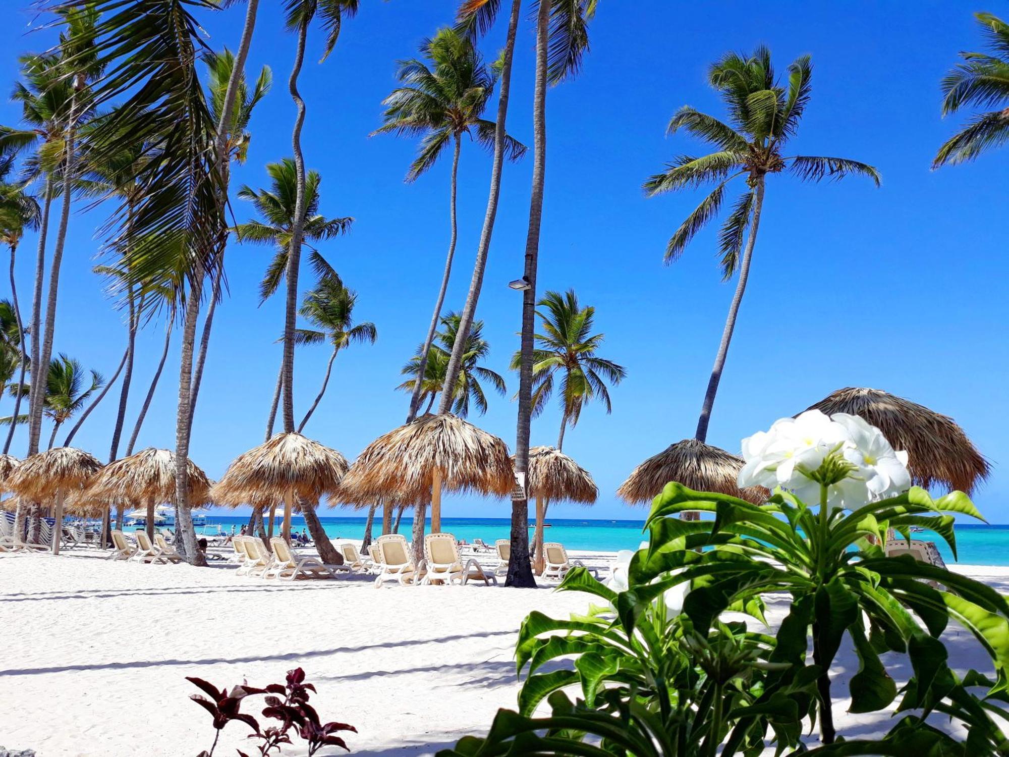 La Flor Del Caribe Beach & Spa Punta Cana Rum bild